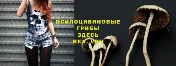 гидра Богородск