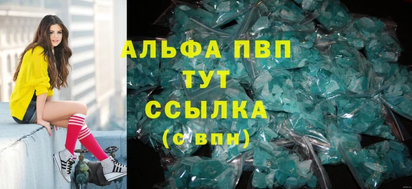 гидра Богородск