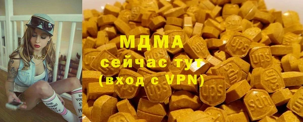 гидра Богородск