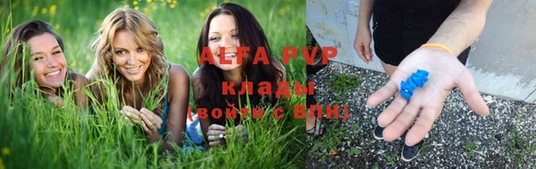 mix Богородицк