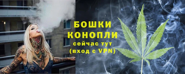 mix Богородицк