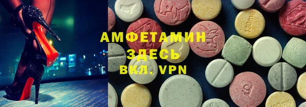 гидра Богородск